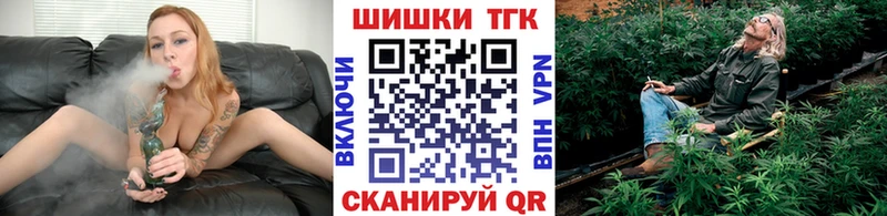ГАШ Кувшиново