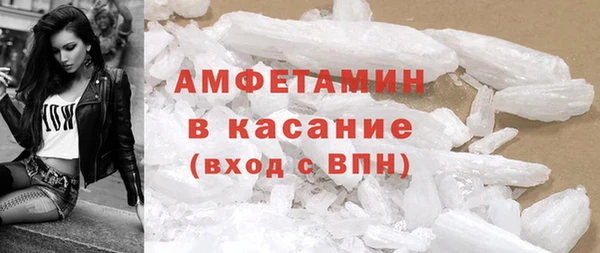 индика Надым