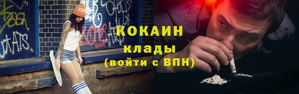 индика Надым