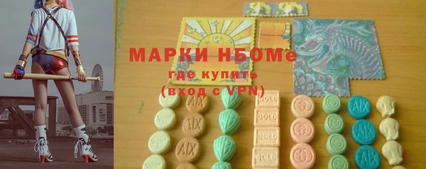 индика Надым