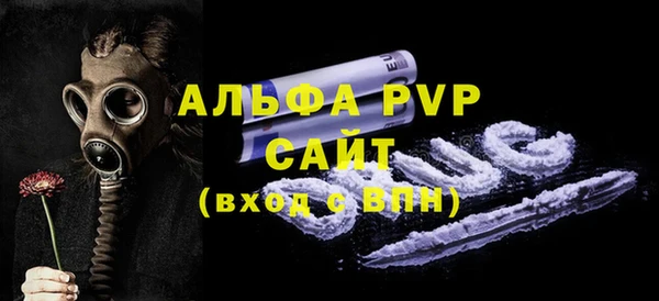 индика Надым