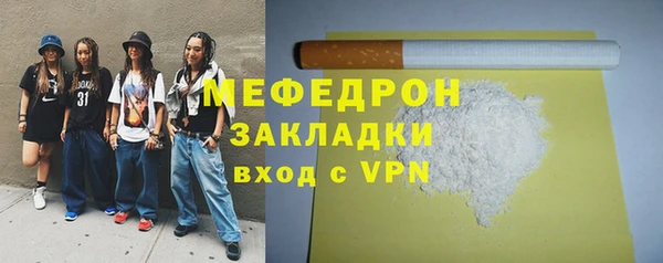 индика Надым