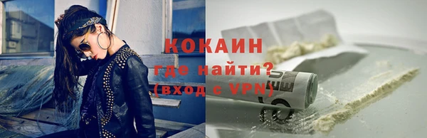 индика Надым