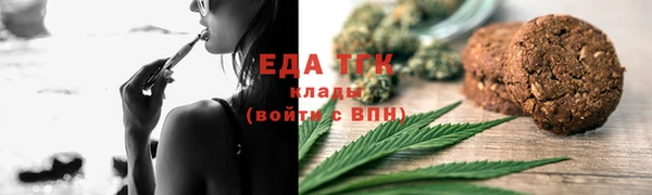 индика Надым