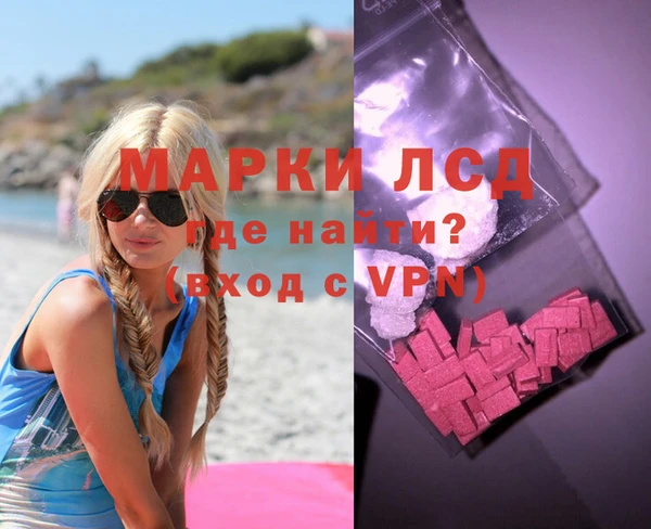 индика Надым