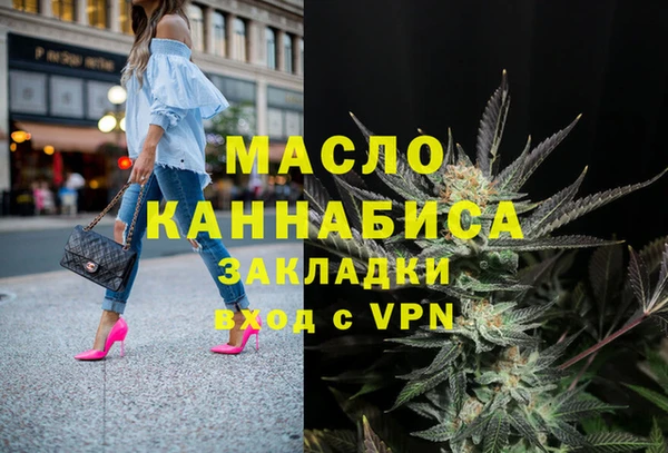 индика Надым