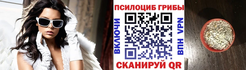 Галлюциногенные грибы Psilocybe  Кувшиново 
