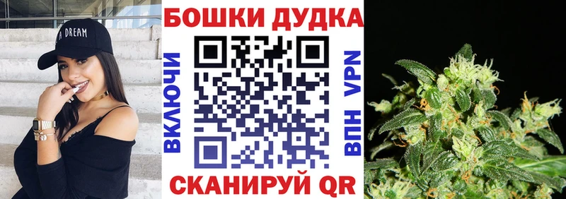 где купить наркоту  Кувшиново  Шишки марихуана семена 
